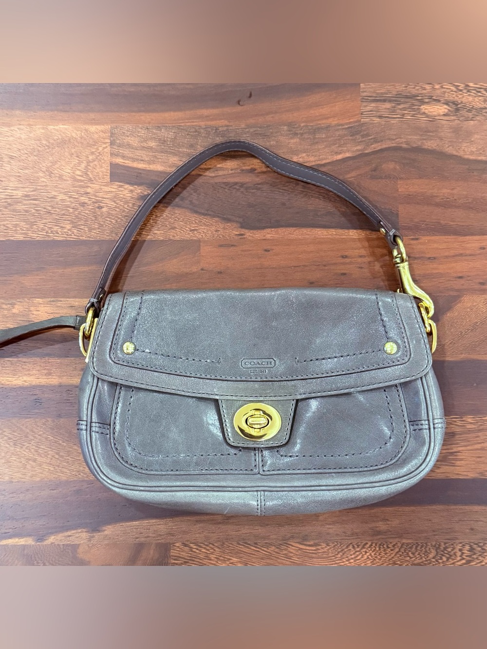 Coach Y2K Hampton Wristlet (Large)